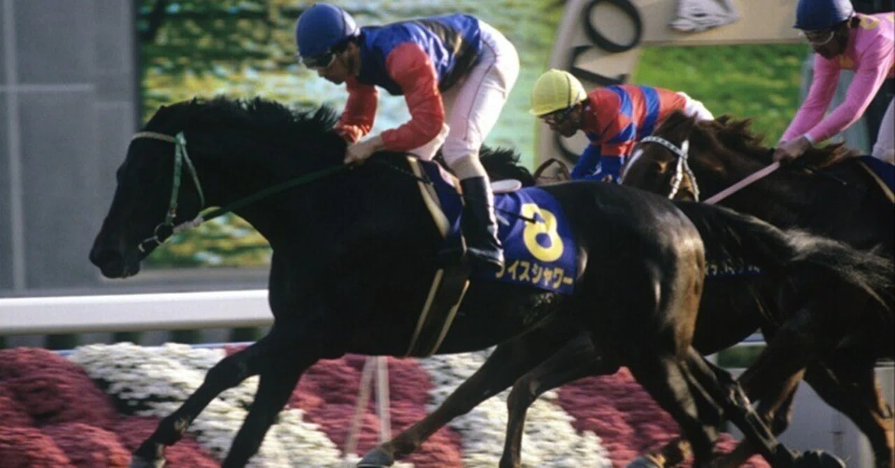 ライスシャワーの歴史｜競走馬の歴史
