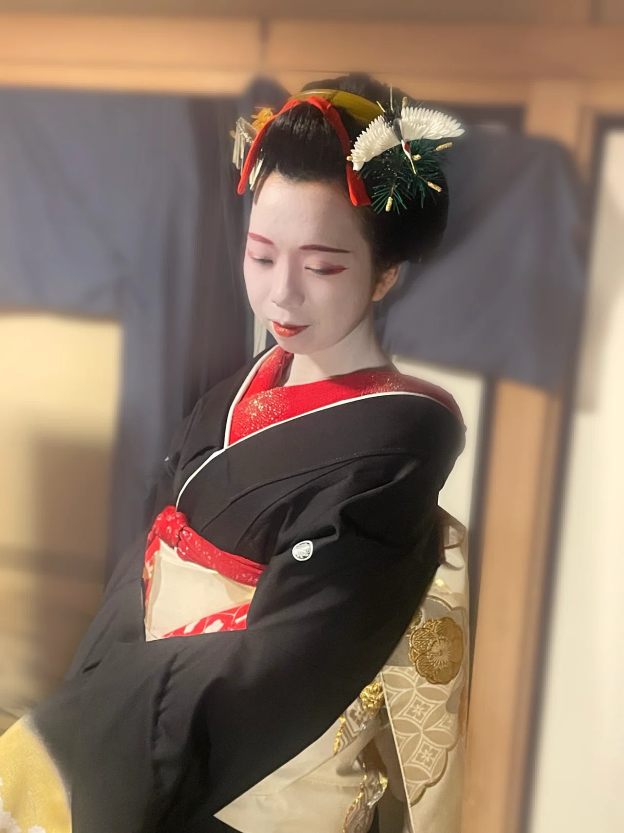芸妓　美容襟 芸妓美容襟