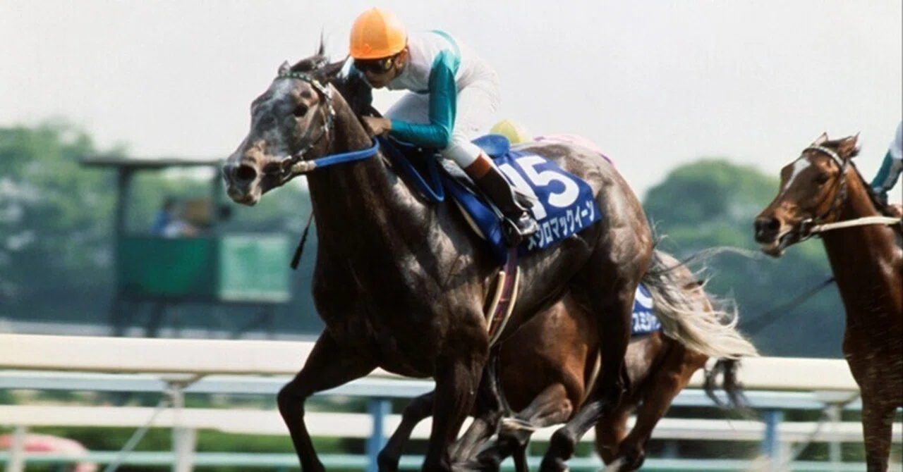メジロマックイーン　史上最強馬の蹄跡　VHS メジロマックイーンの歴史｜競走馬の歴史