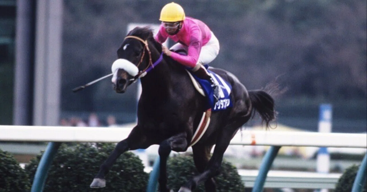 ナリタブライアン たてがみ ナリタブライアンの歴史｜競走馬の歴史