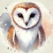 あさまち🦉ライフスタイルクリエイター