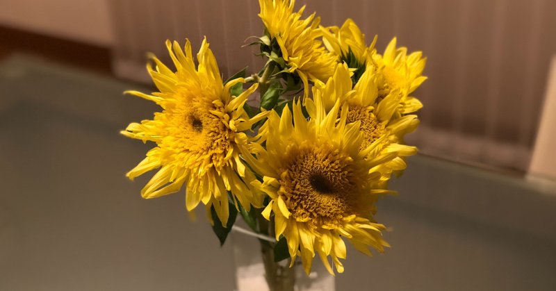 元気がもらえる人 の新着タグ記事一覧 Note つくる つながる とどける