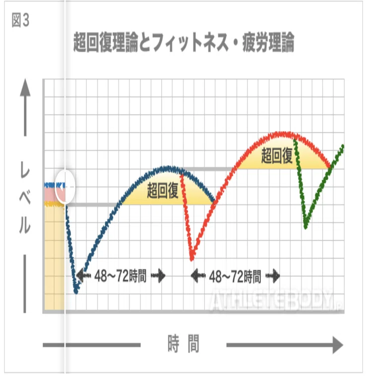 和整體理論 20フィットネスー疲労理論とは？｜MOTO⚾｜150キロプロジェクト