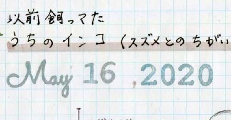 サルやイヌより知能が高かった うちのインコの思い出 May 16 Hitaki Note