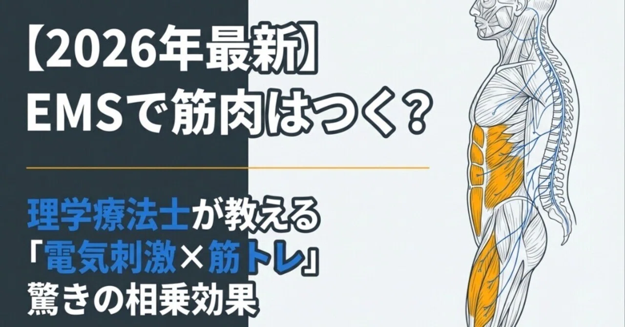 EMSで筋肉はつく？①理学療法士が教える「電気刺激×筋トレ」の驚きの
