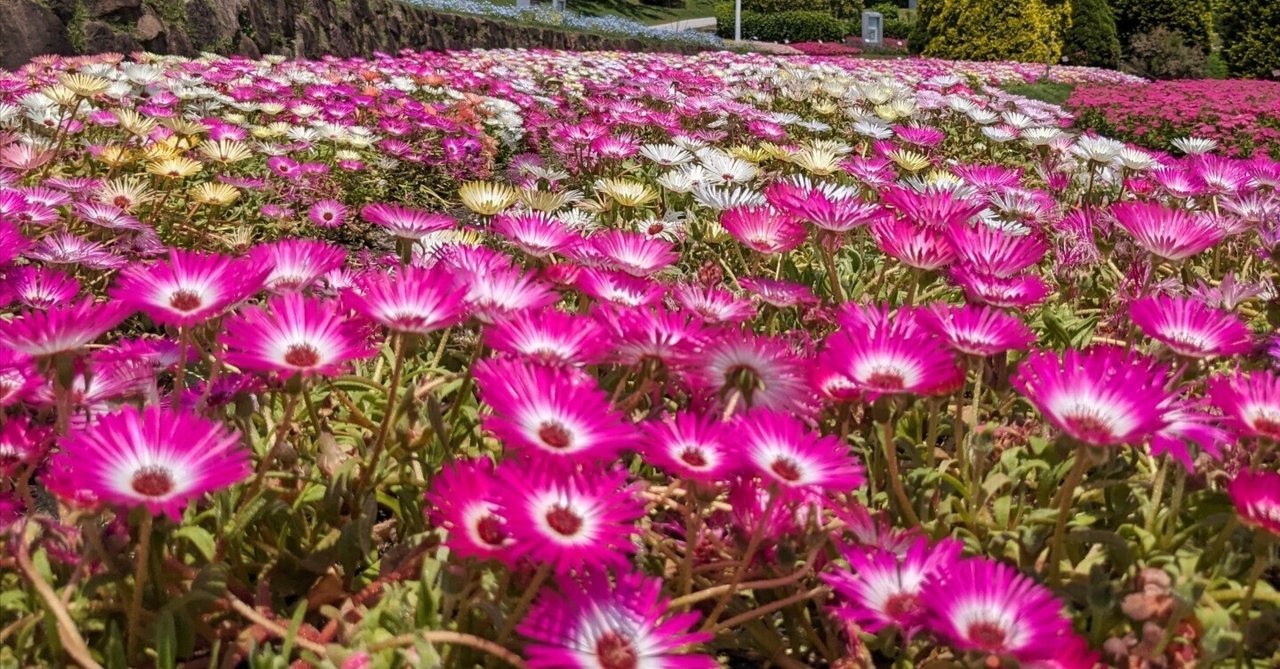 「【日記No.67】日本アカデミー賞受賞作品のうち、鑑賞した本数は・・・💦」のサムネイル