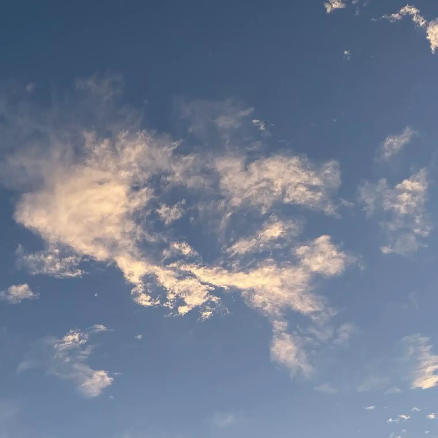 怜央