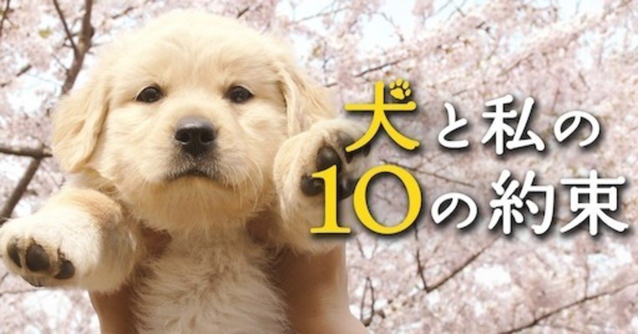 高校生teeの映画館 No 23 犬と私の10の約束 あらすじ 見どころ 感想 高校生tee Note