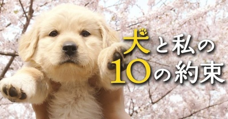 高校生teeの映画館 No 23 犬と私の10の約束 あらすじ 見どころ 感想 高校生tee Note