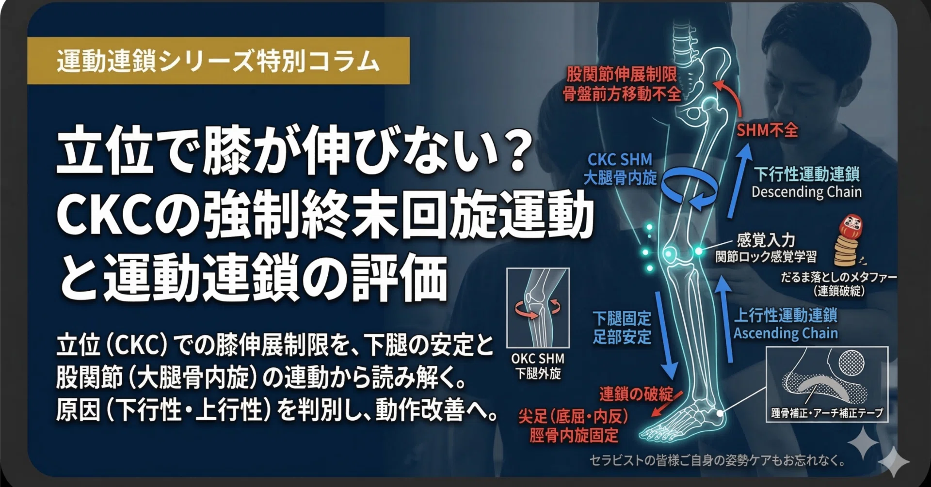 立位で膝が伸びない原因は足か股関節か？ CKC運動連鎖から紐解く評価と