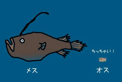 画像2
