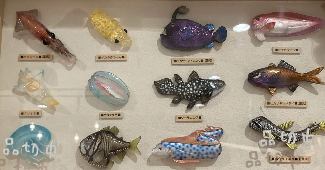 子連れ旅行】沼津深海水族館｜おさかなちゃん