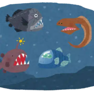 深海魚のひとりごと