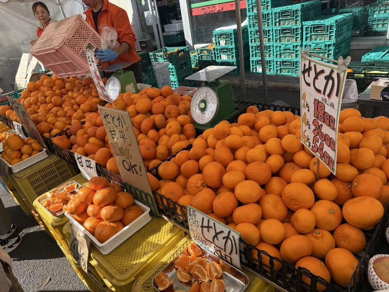 甘平2kg買ったら＋2玉！？久しぶりのいもゴリラ朝市が最高だった｜東海