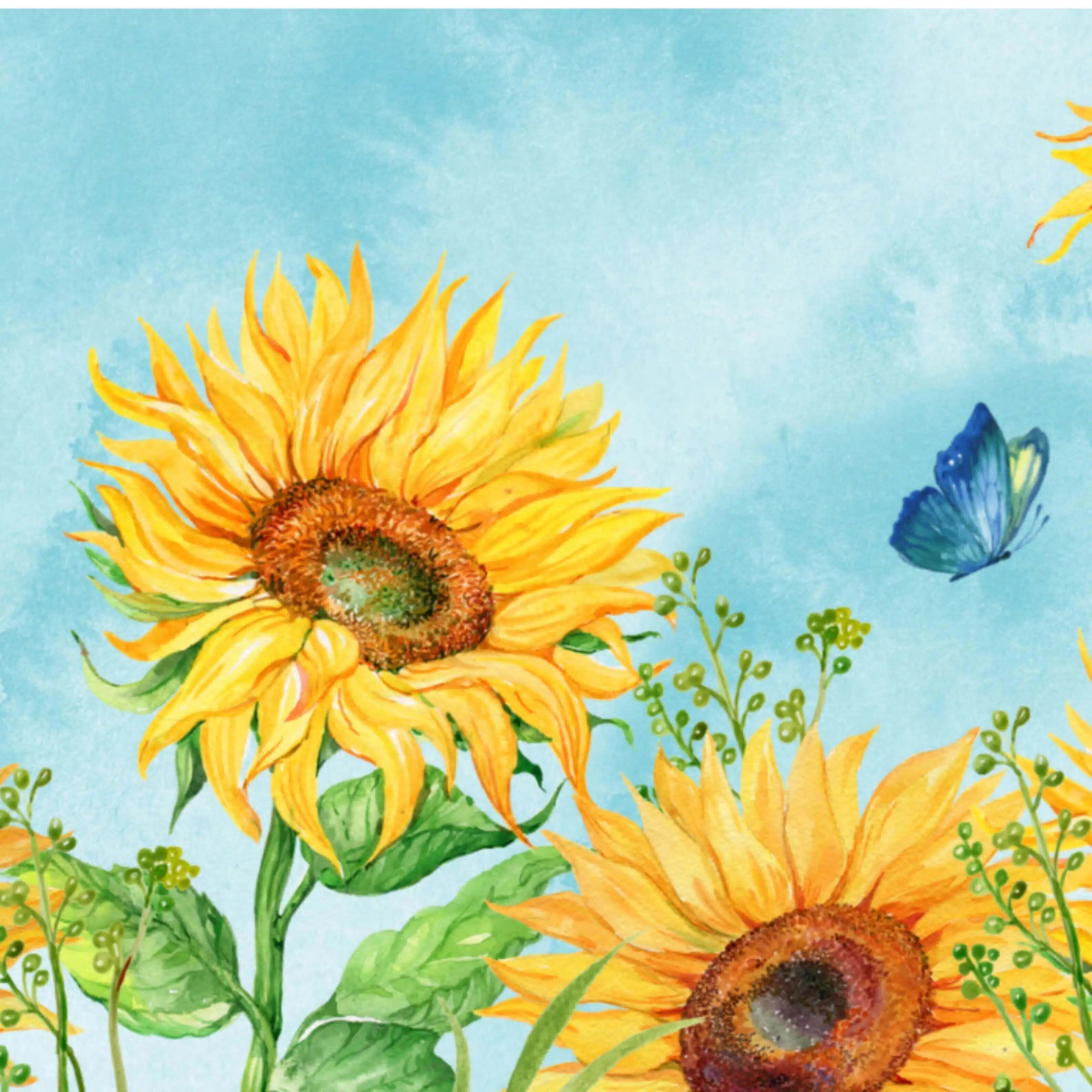 【 ひまわり🌻｜心に効く「生まれ月」占い 】