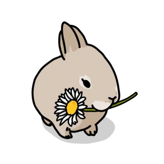 ナナセ
