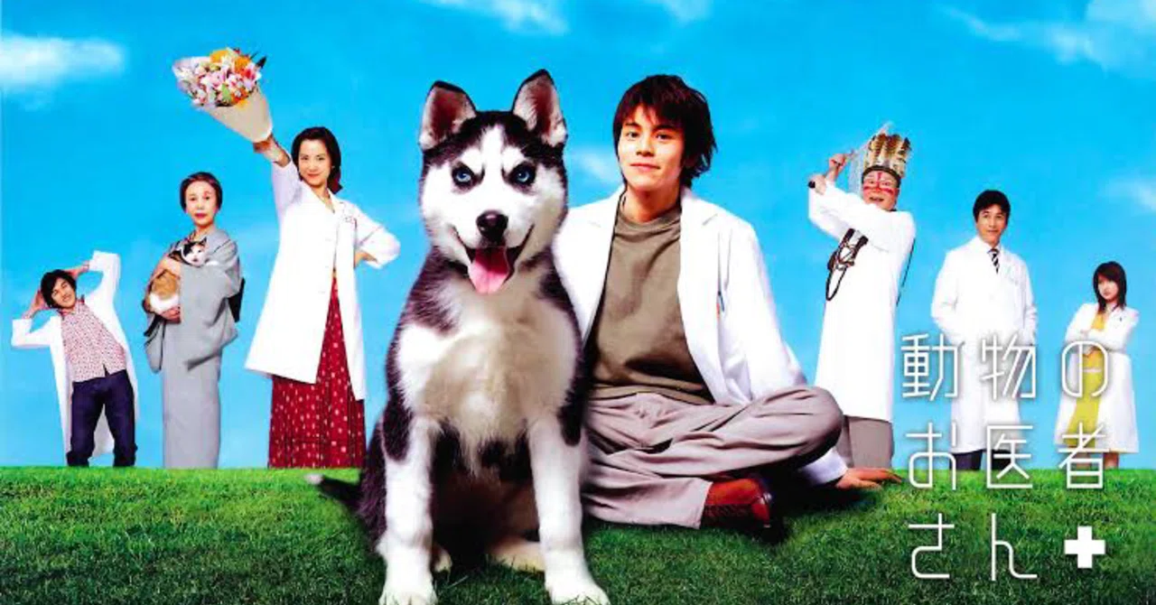 動物のお医者さんDVDBOX/中古/ドラマ/吉沢悠 Yahoo!オークション - 超激レア 吉沢悠 Prio 2003春 動物のお医者さん
