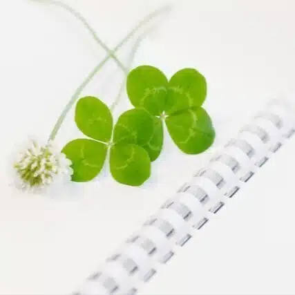 鏡月 凰仙