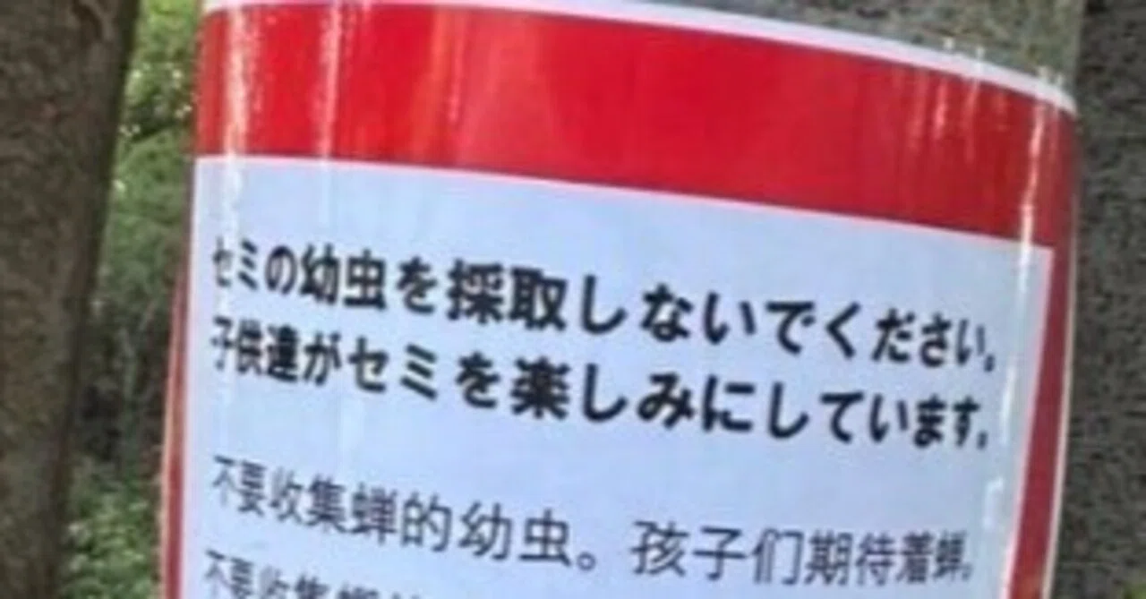 郷に入れば郷に従えない人は来ないでください