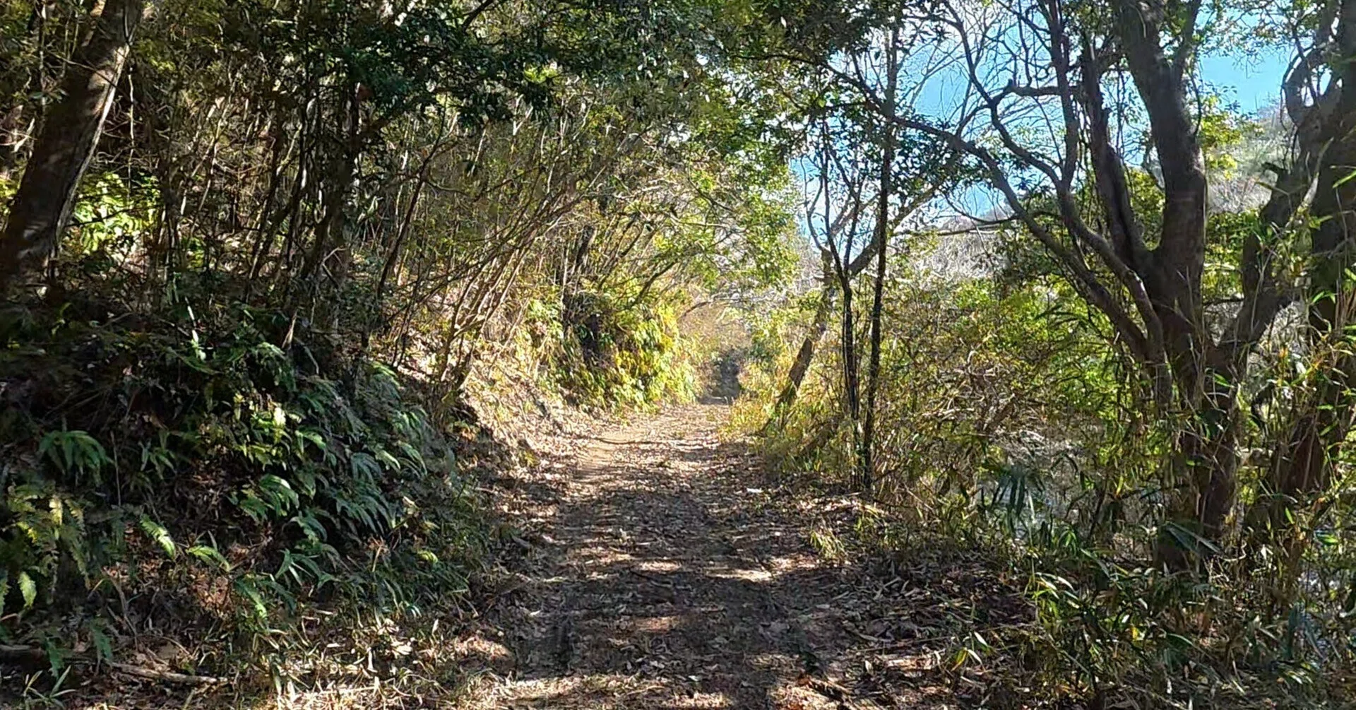 くう・ねる・はしる｜くうねるはしる｜関西のイーハトーブを探す旅