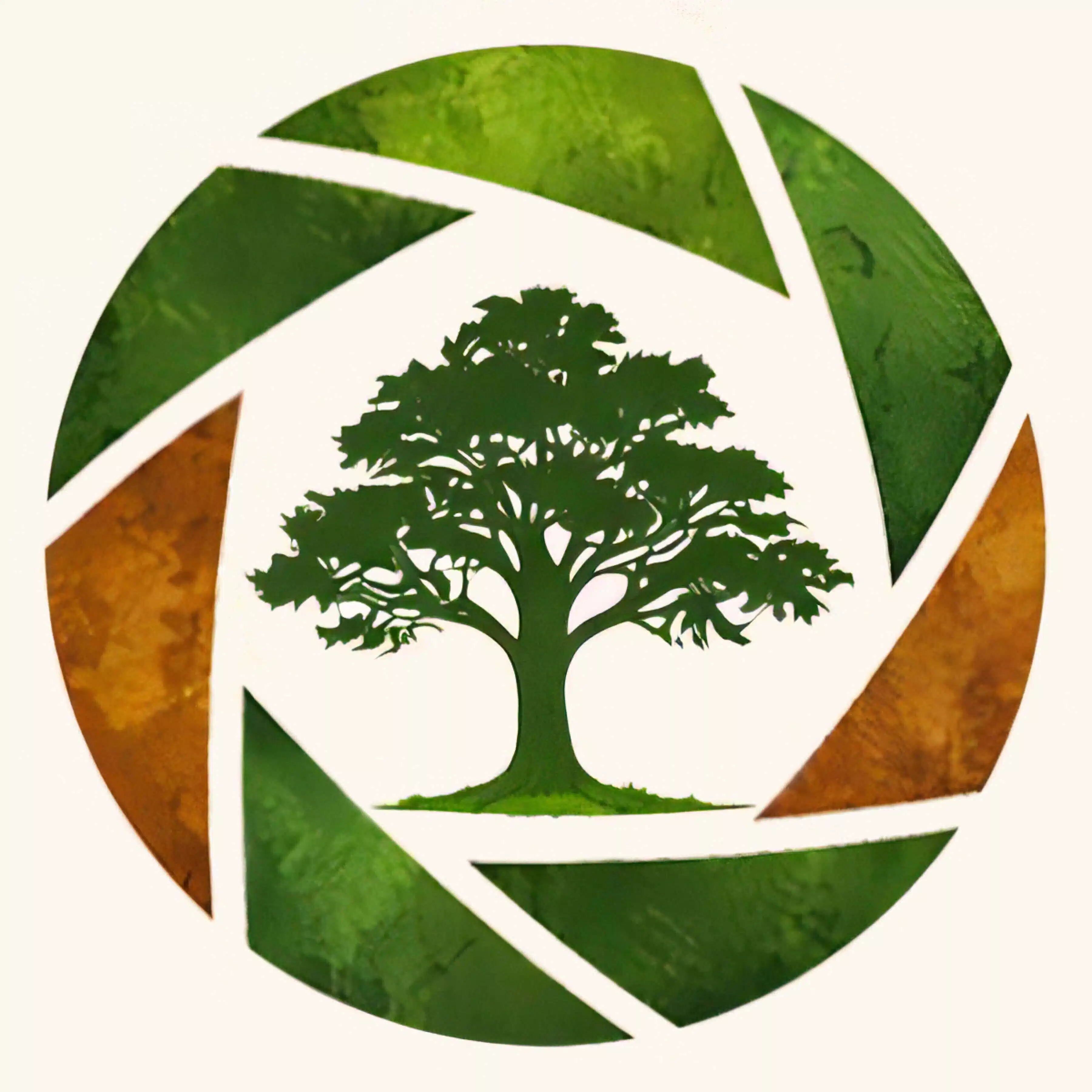 Ever Oak FILMS