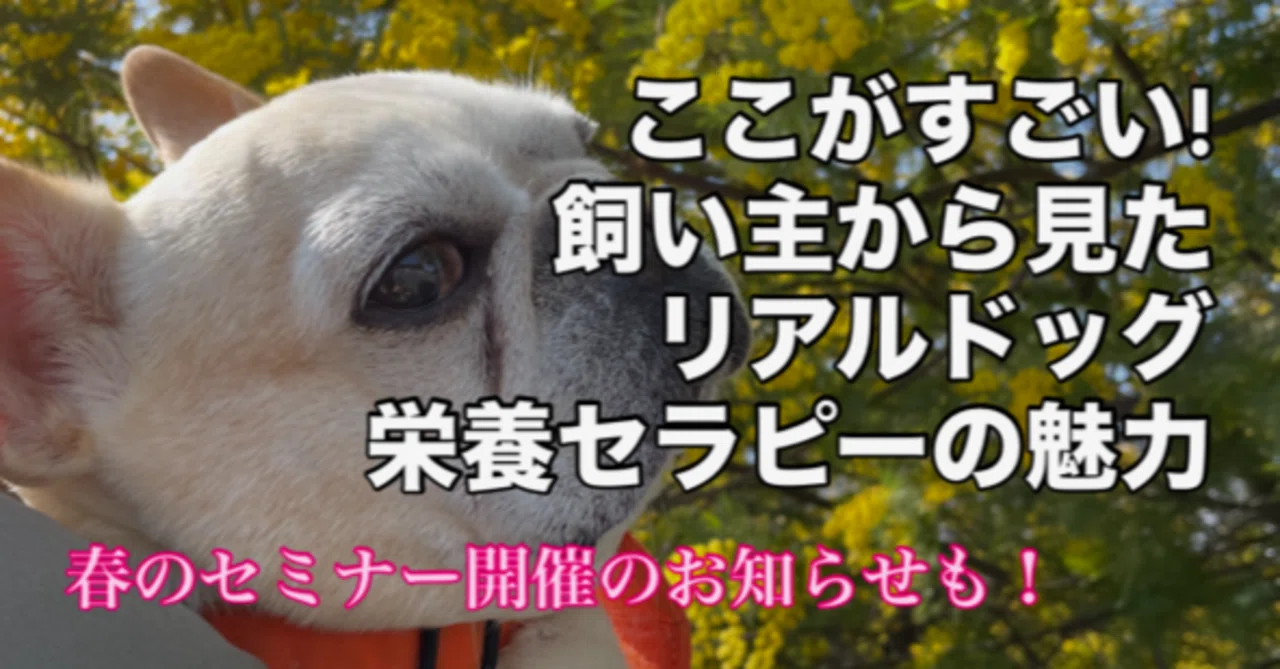 This is amazing! The appeal of Real Dog Nutrition Therapy as felt by a ...