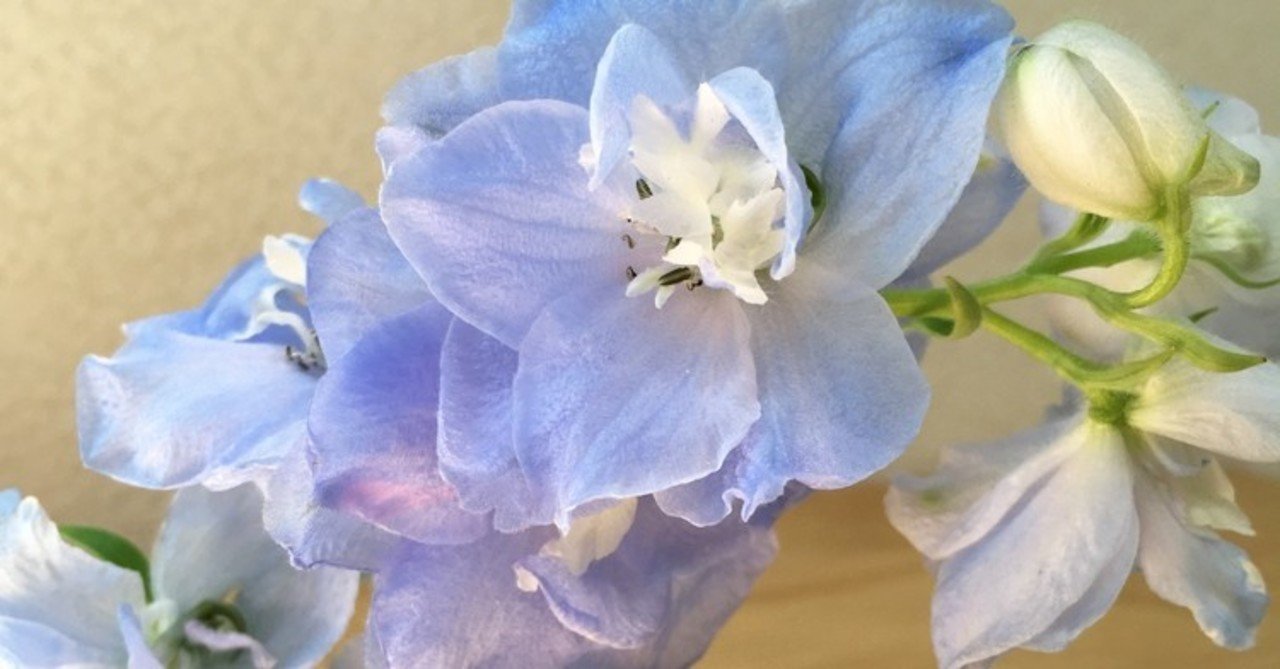 デルフィニウムの小瓶アレンジ 花と日々 Yas Note