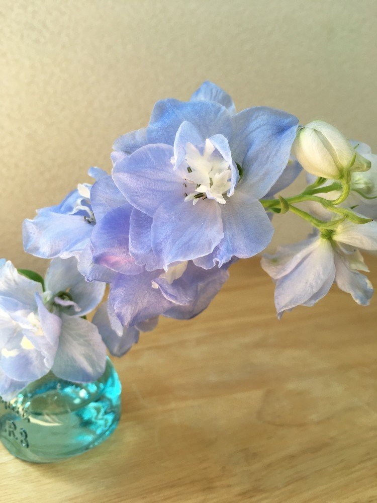 デルフィニウムの小瓶アレンジ 花と日々 Yas Note