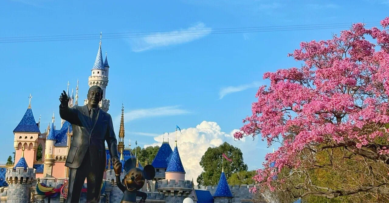 ロサンゼルス旅行記⑦】4日目 カリフォルニアディズニー｜まなて