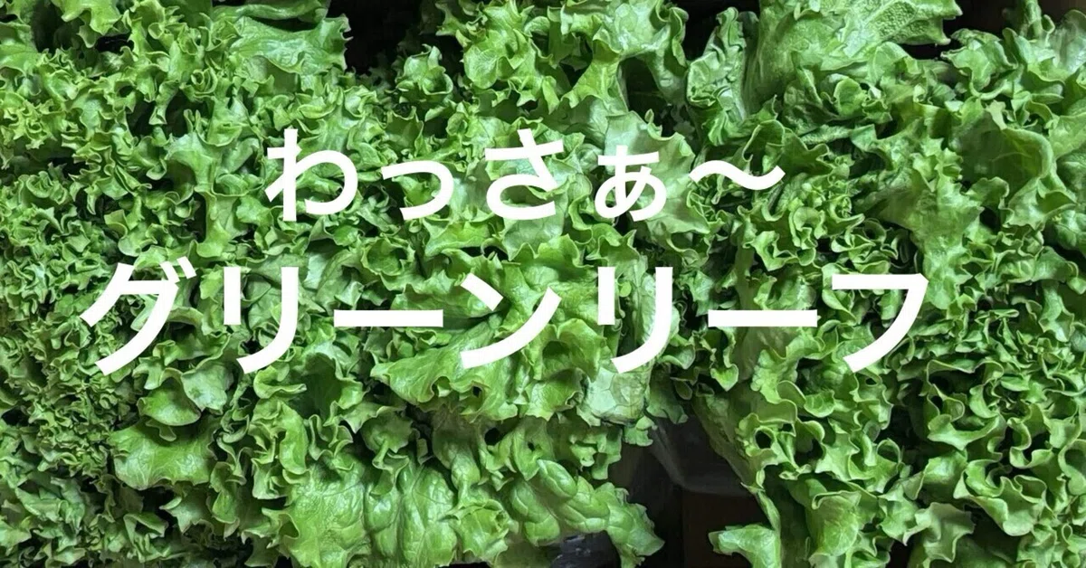 見出し画像