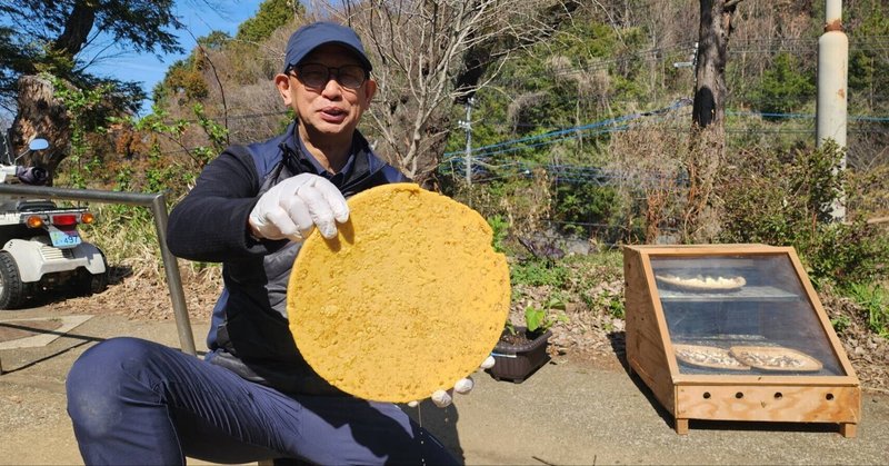 どんぐり山通信:ミツロウ作り