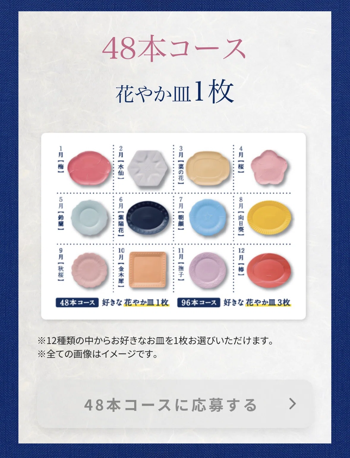 花やか皿 240本分 日比谷花壇がサントリー『金麦』と食卓を彩る新コラボ！12か月の花を
