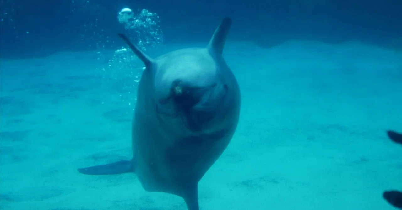 水族館に行ってきた｜pooko