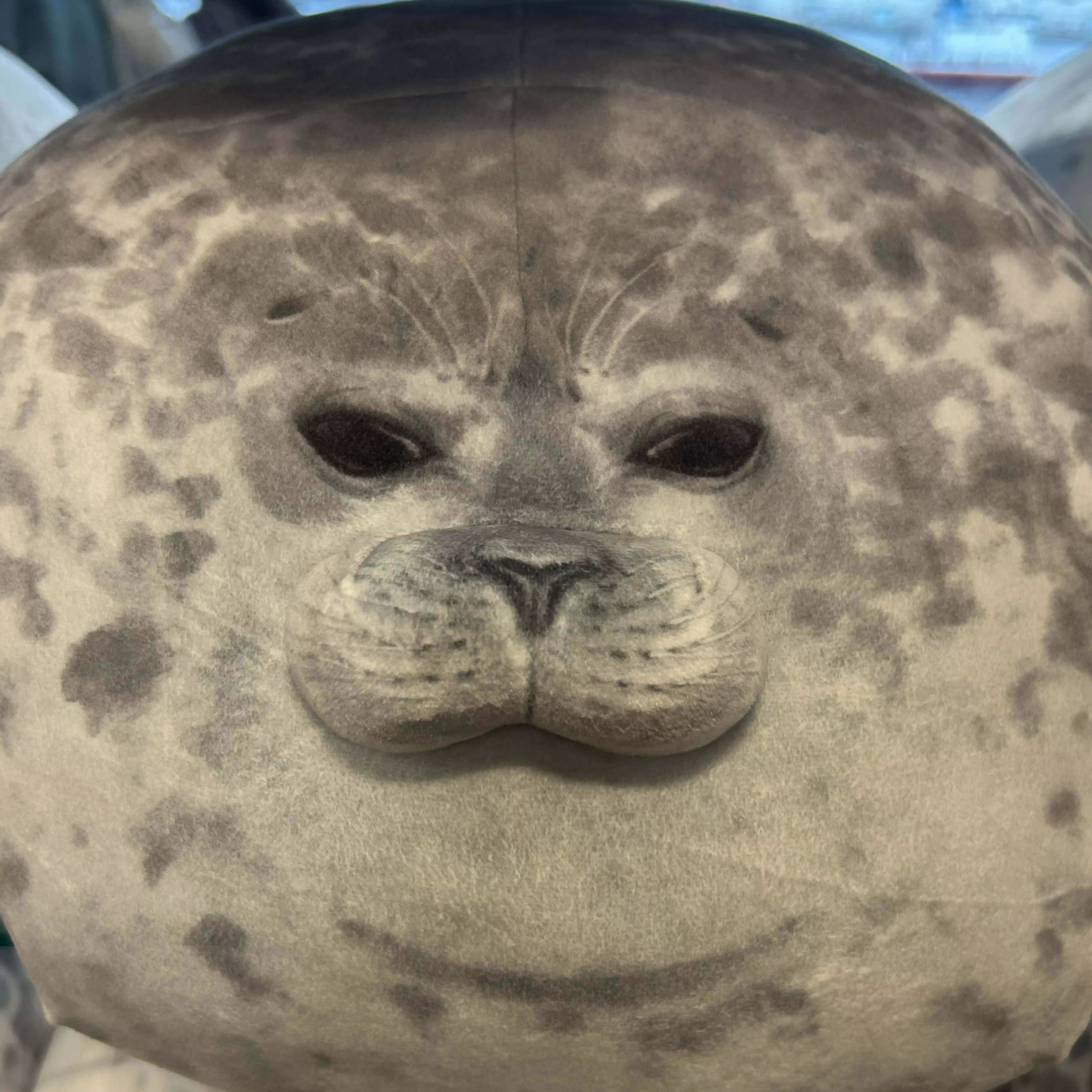 暇人