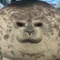 暇人