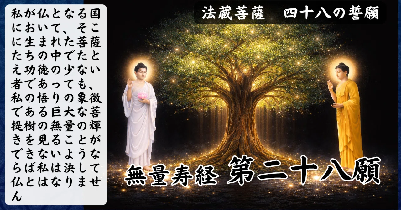 無量寿経 第二十八願『見上げるだけで真理がわかる、絶対的なシンボル