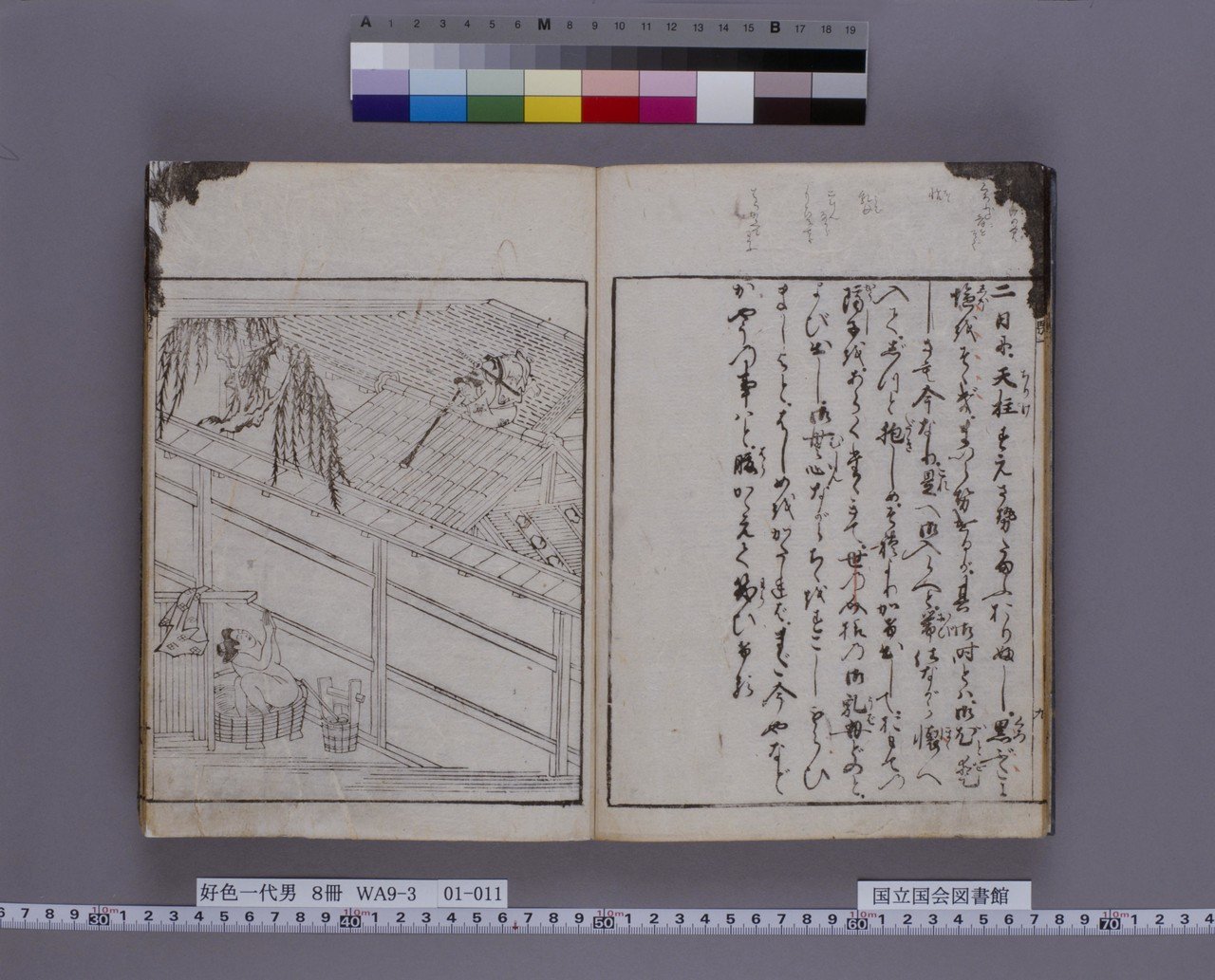 古墨　61ｇ　百選墨 NO.25 混沌譜 百選墨 NO.25 混沌譜 純植物性松煙墨 - 書道用具専門店 西本皆文