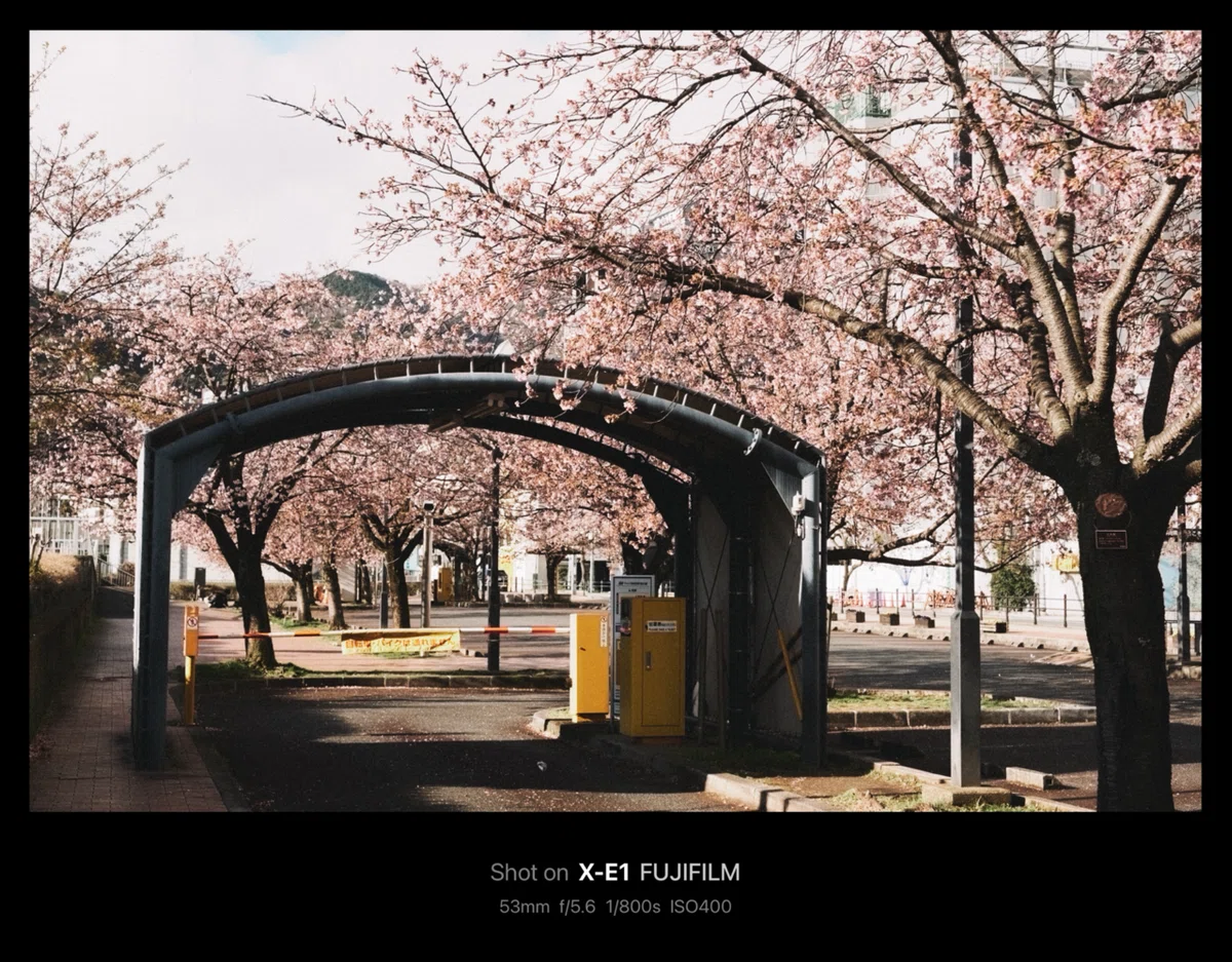 FUJIFILM X-E1 × XF35mmF1.4 R｜Junpei
