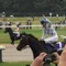 🏇ゲンコツコツコツ🚴‍♂️