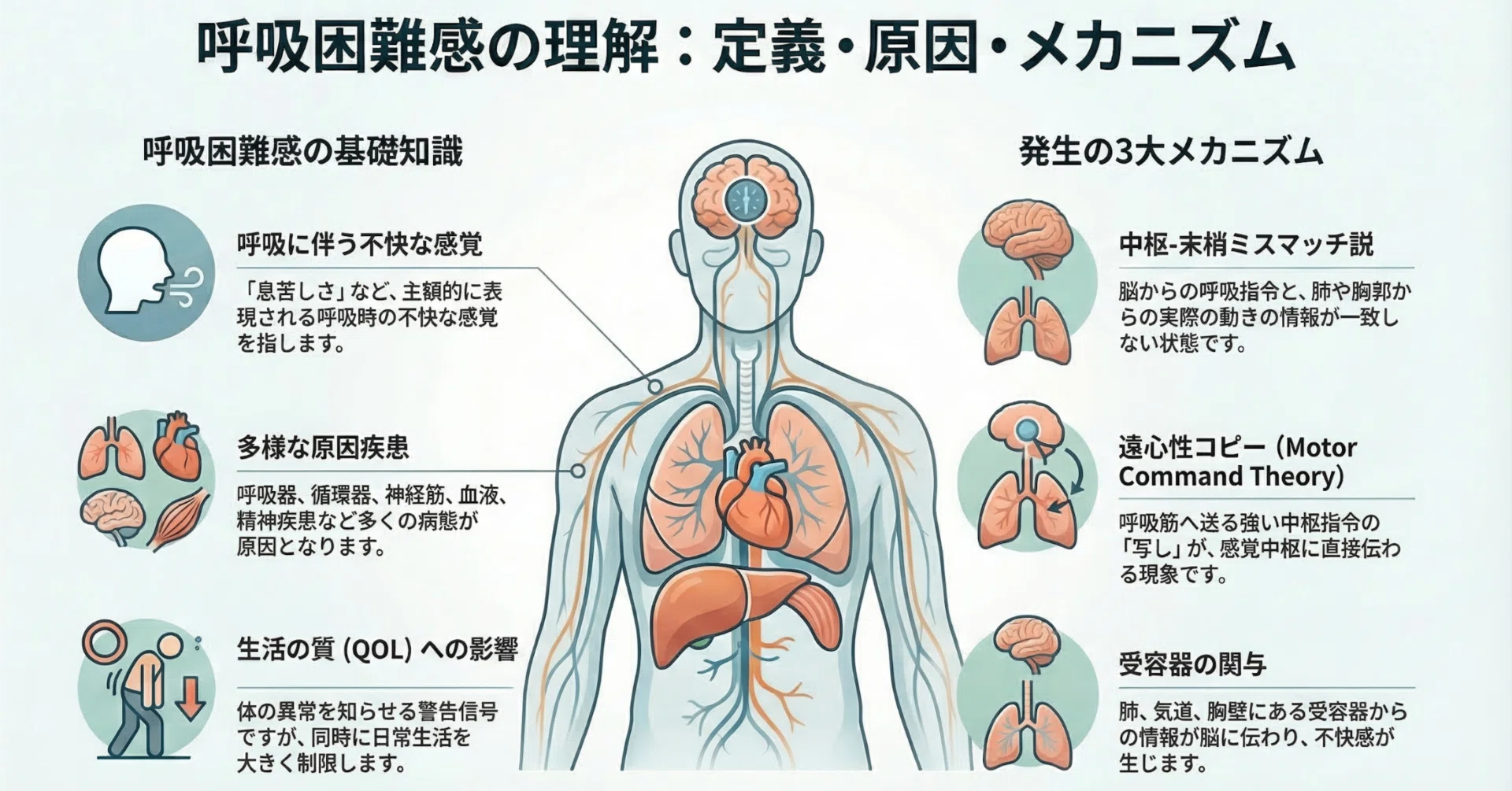 呼吸困難感のメカニズムとリハビリへの活かし方：「息苦しさ」の正体と