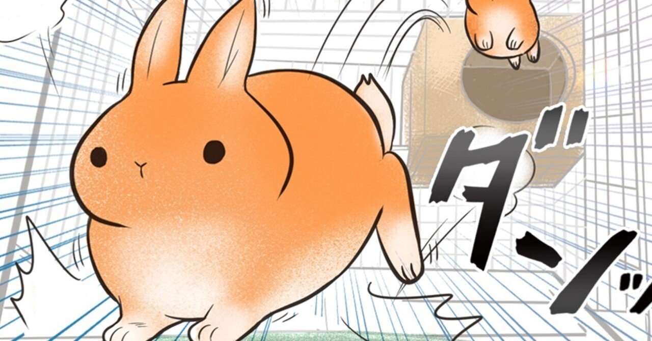 コミックエッセイ【うさのまにまに】91 跳んじゃう高齢うさぎ対策｜ち
