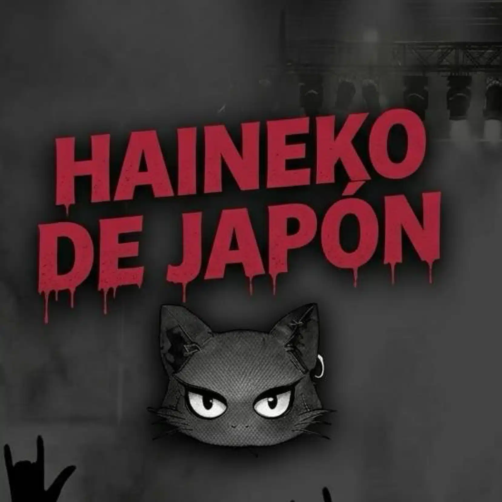 HAINEKO（灰猫）