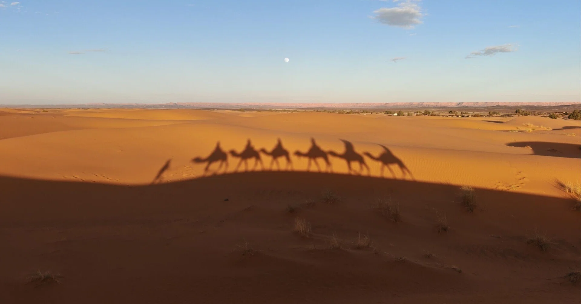 🇲🇦モロッコ周遊 6 | サハラ砂漠を体験するメルズーガ｜しゅう
