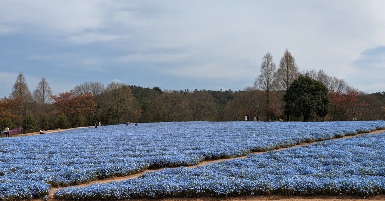 「【日記No.69】侍JAPANロス⚾」のサムネイル
