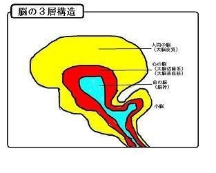 自分の恋愛スタイルを変えたいなら 自分の中の 当たり前 を疑うこと 長田絵里子 Note 自分の恋愛スタイルを変えたいなら 自分の中の 当たり前 を疑うこと 長田絵里子 Note