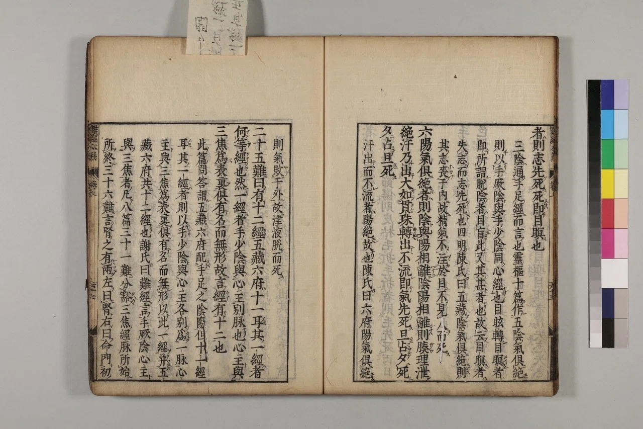 讀解「難経本義諺解」】二十五難（本文①、本義①-a）｜NISHIZUKA LABO