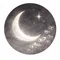 満天星 月子🌙