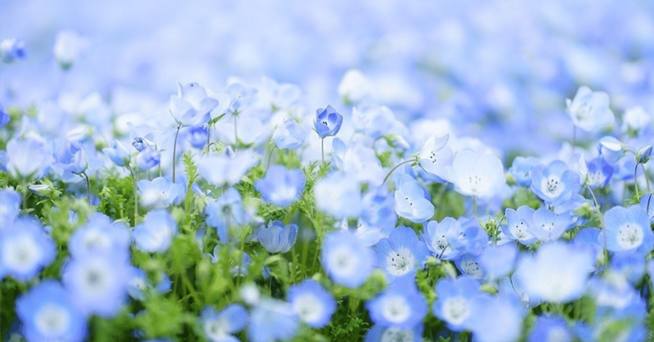 【わたなべ竜二一般質問報告】給付金の事務費を削減せよ!&地域デジタル通貨で朝霞の経済を回す ── 令和8年3月朝霞市議会