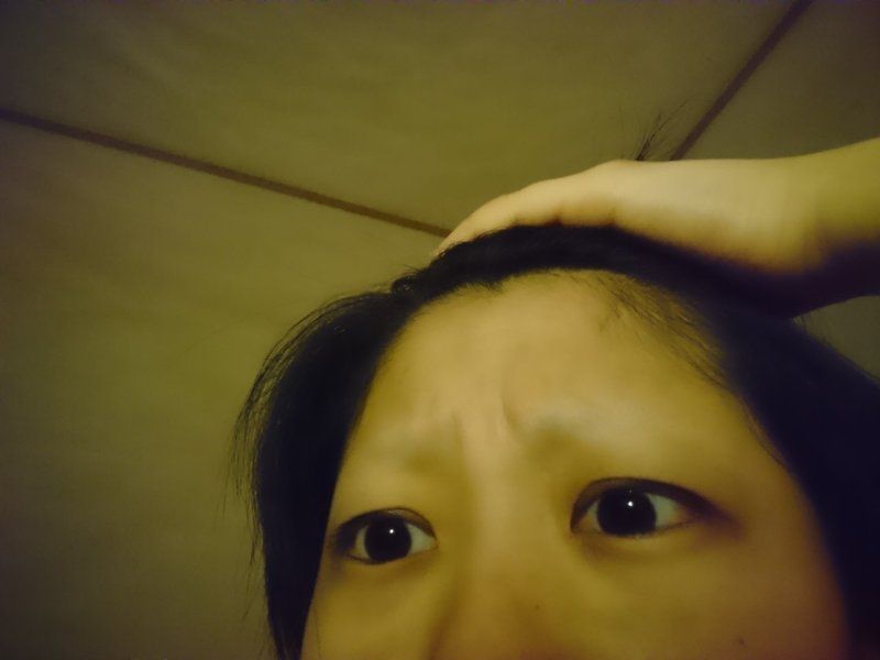 筆のはしらせ 12本目 温眉 大矢 Perrot Note