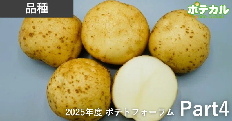 ジャガイモシロシストセンチュウ抵抗性品種の開発